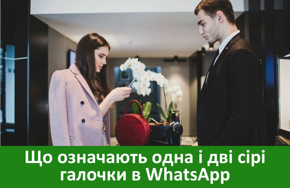 що означають одна і дві сірі галочки у вацап