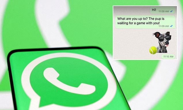 Як створювати стікери для WhatsApp