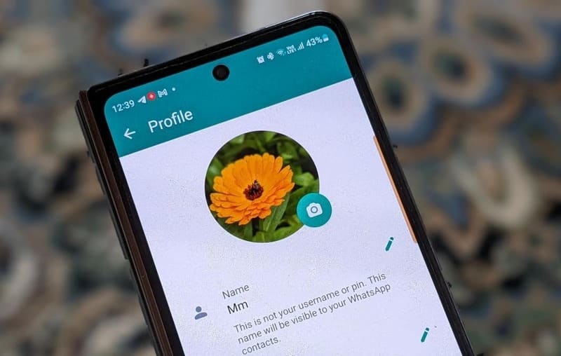 Як змінити фото профілю, ім’я або статус вацап на iPhone